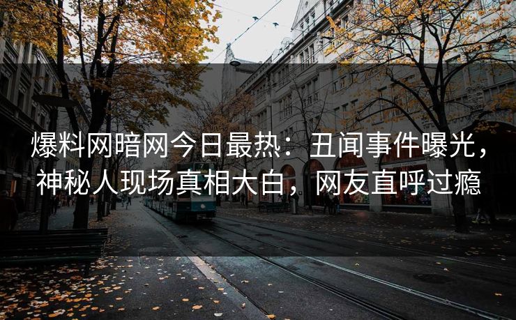 爆料网暗网今日最热：丑闻事件曝光，神秘人现场真相大白，网友直呼过瘾