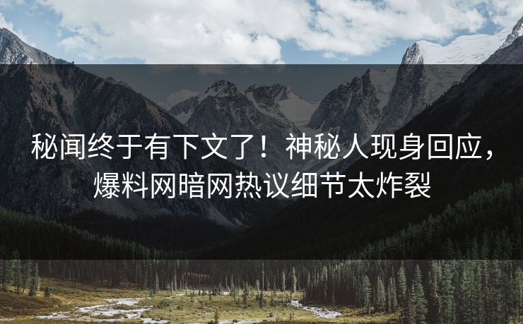 秘闻终于有下文了！神秘人现身回应，爆料网暗网热议细节太炸裂