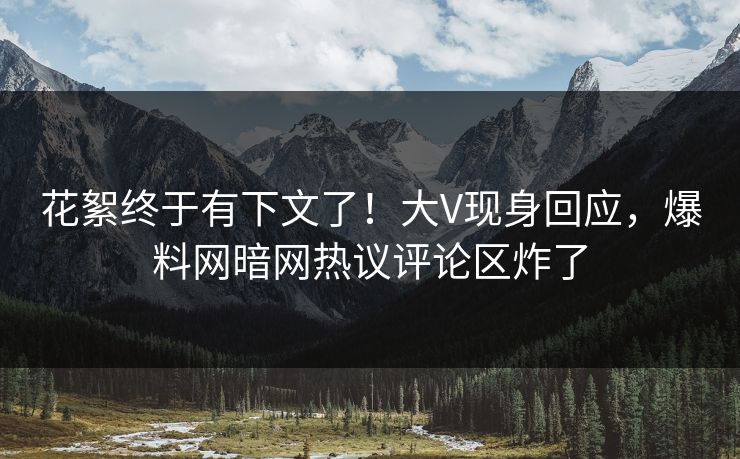 花絮终于有下文了！大V现身回应，爆料网暗网热议评论区炸了